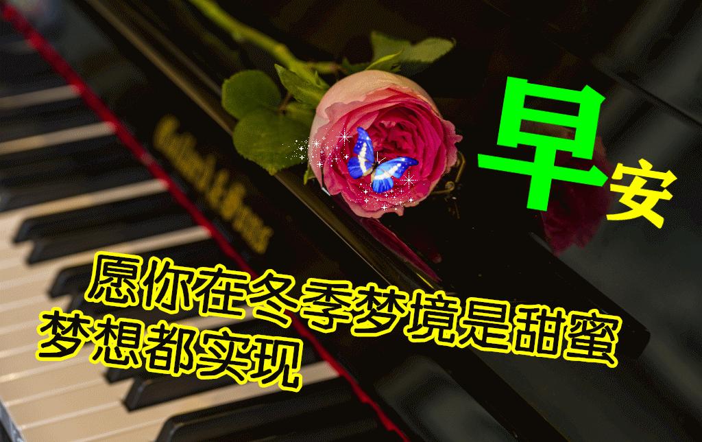 早晨阳光表情图片,秋季清晨非常漂亮早上好表情图片