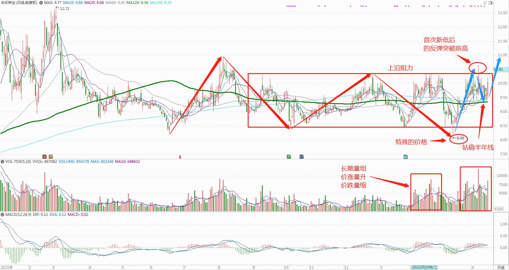 种业龙头股排名000998,种业龙头股有哪些股票可以买