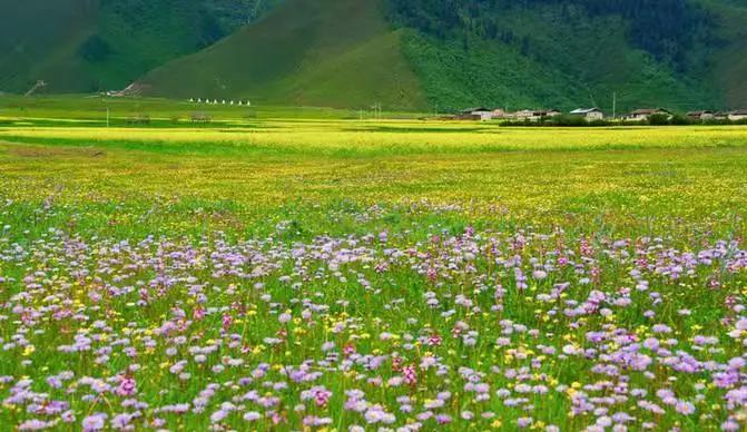 云南避暑旅游好去处推荐,云南避暑有哪些景点好玩