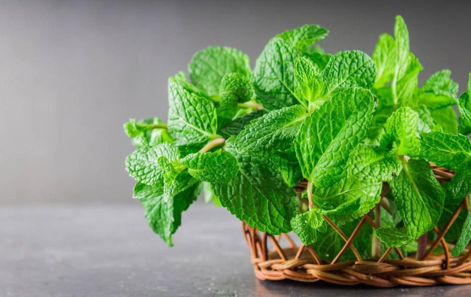 食谱止咳润肺的冰糖雪梨银耳汤,砂锅冰糖雪梨的正确做法润肺止咳