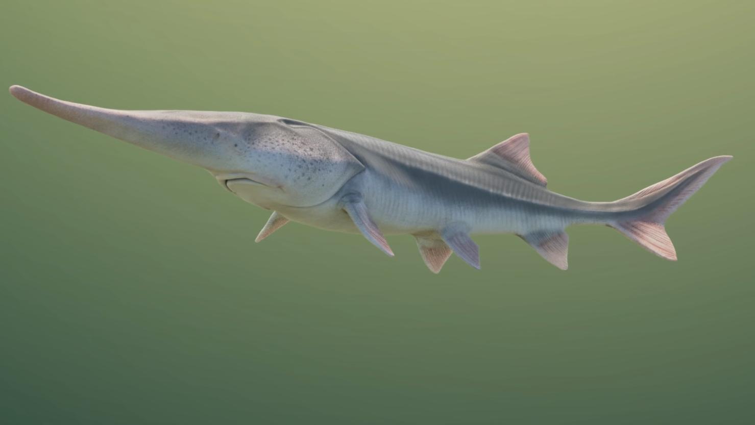 拔了价值1块五的高原莲花,险些被牢底坐穿!这种草为啥不能摘?