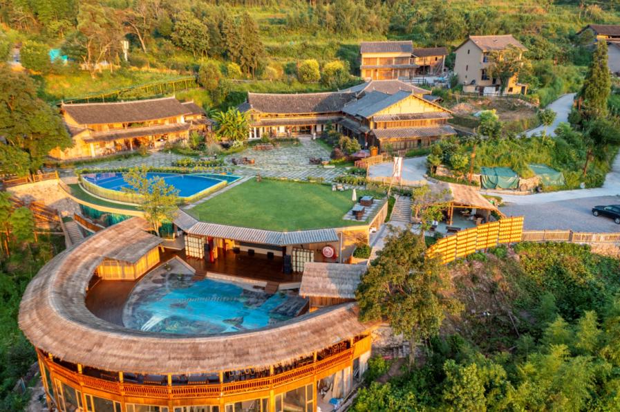 带你们体验摘杨梅的乐趣,酸酸甜甜的杨梅有谁陪我一起采摘