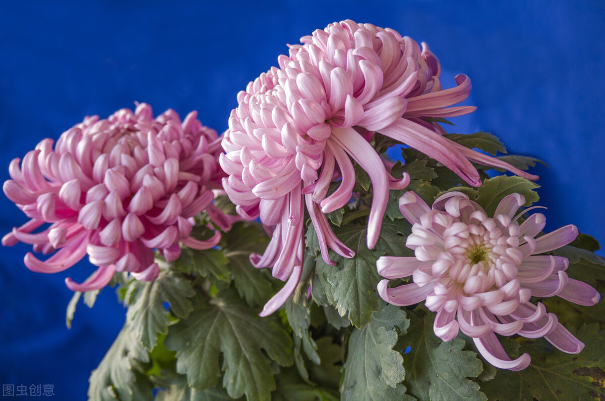 郭进栓汝州,郭进栓