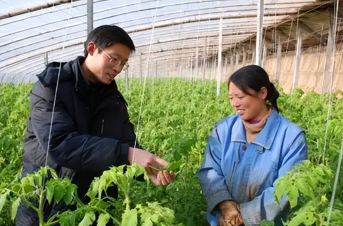 我国农村产业发展的现状及前景,农村产业发展存在的问题和对策