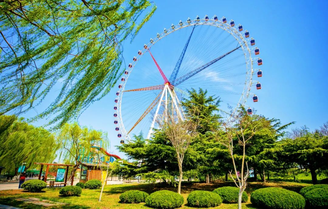 济南夜晚最美网红打卡地,济南周末好去处网红打卡点