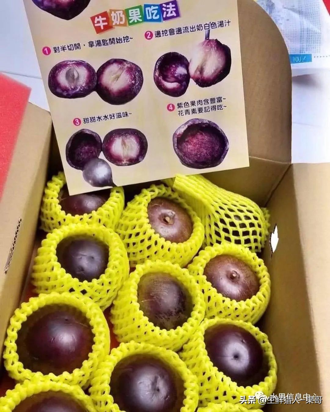 #奇异水果知多少#椰柿、黄晶果、冰淇淋果、巧克力布丁果等