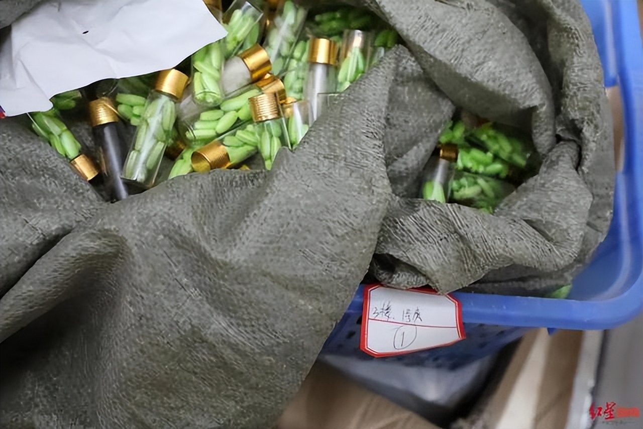 诈骗团伙靠卖保健品1个月骗4000万,诈骗团伙网上推销药