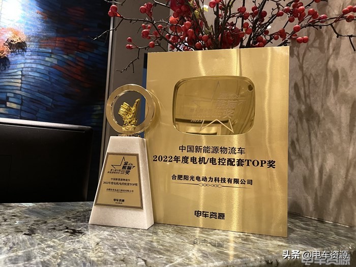 踔厉奋发推动发展,踔厉奋发成就非凡