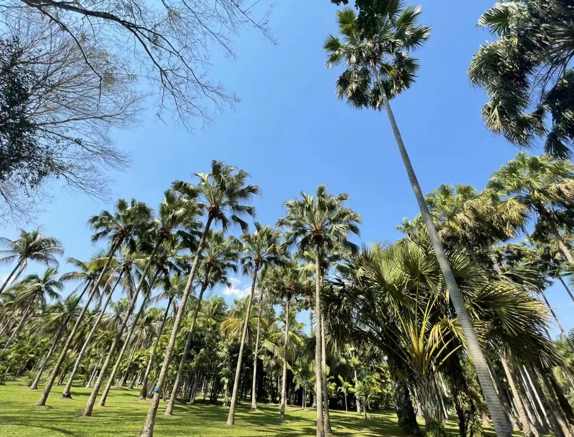 云南省四季如春之都,云南省哪个地区四季如春