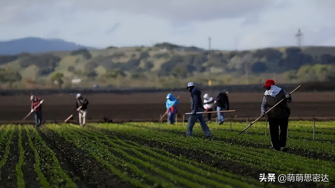加州成唯一gdp超20万亿的省份,美国加州gdp能在世界排第几