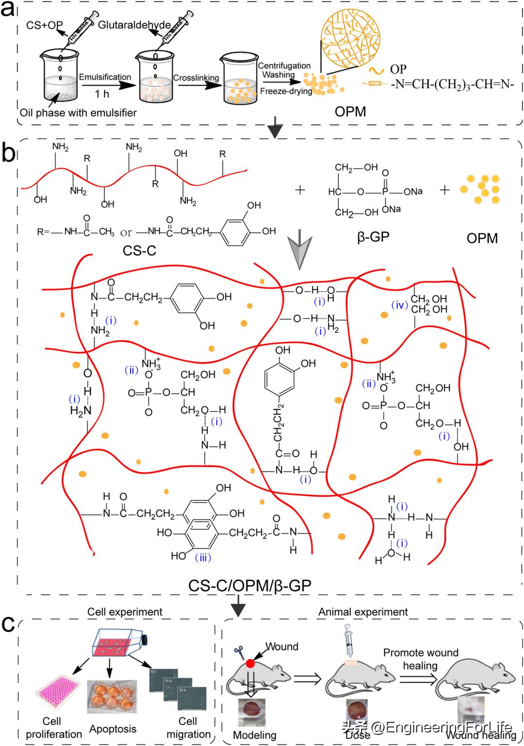 水凝胶微球国内有吗,高分子微球水凝胶