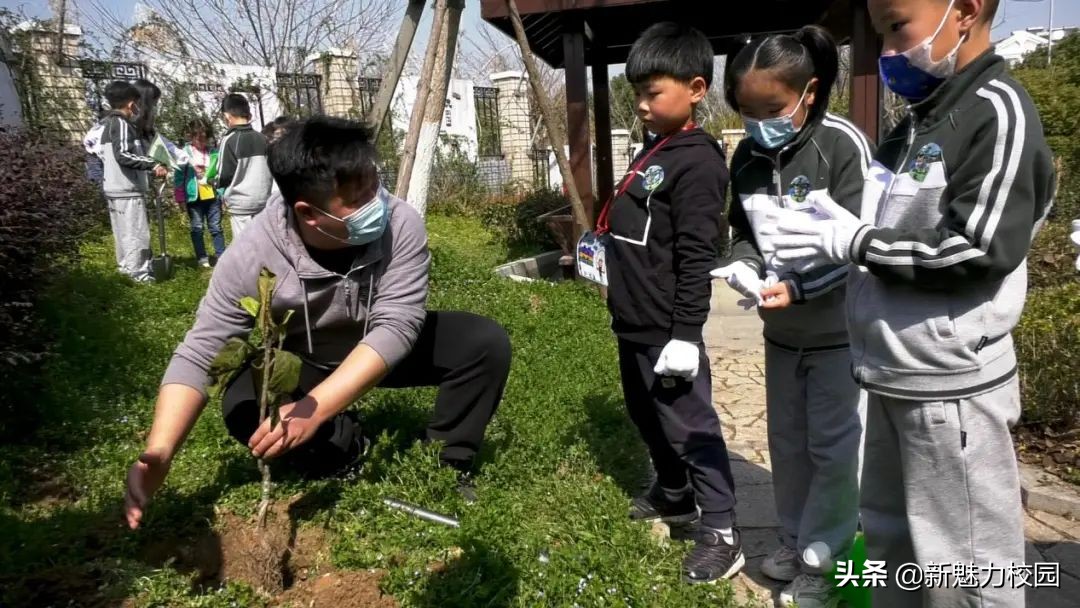 孝陵卫初级中学一年级一班,南京市孝陵卫中心小学