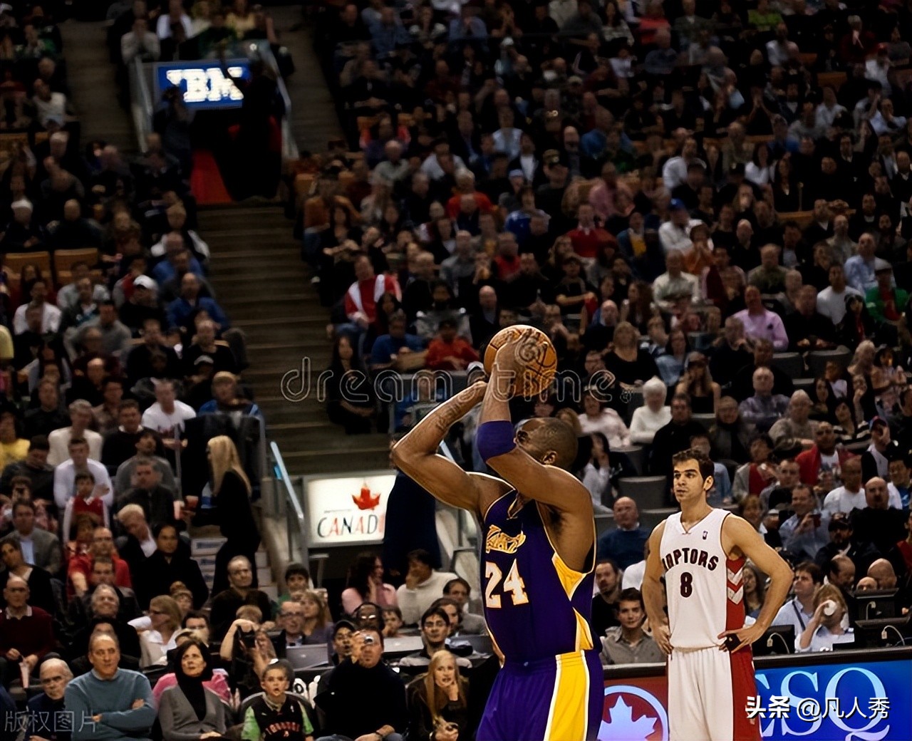 nba最纯粹的人,nba最纯粹篮球运动员