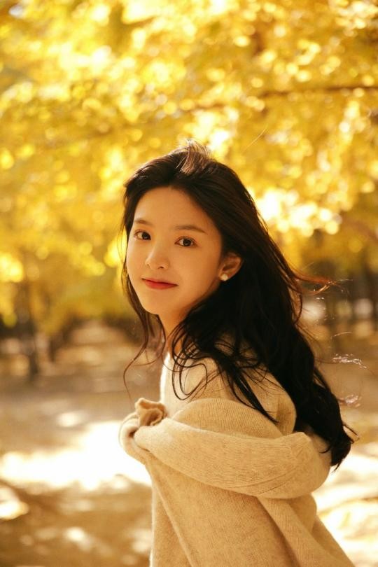 娱乐圈的白月光们有哪些共同点,娱乐圈白月光有哪些