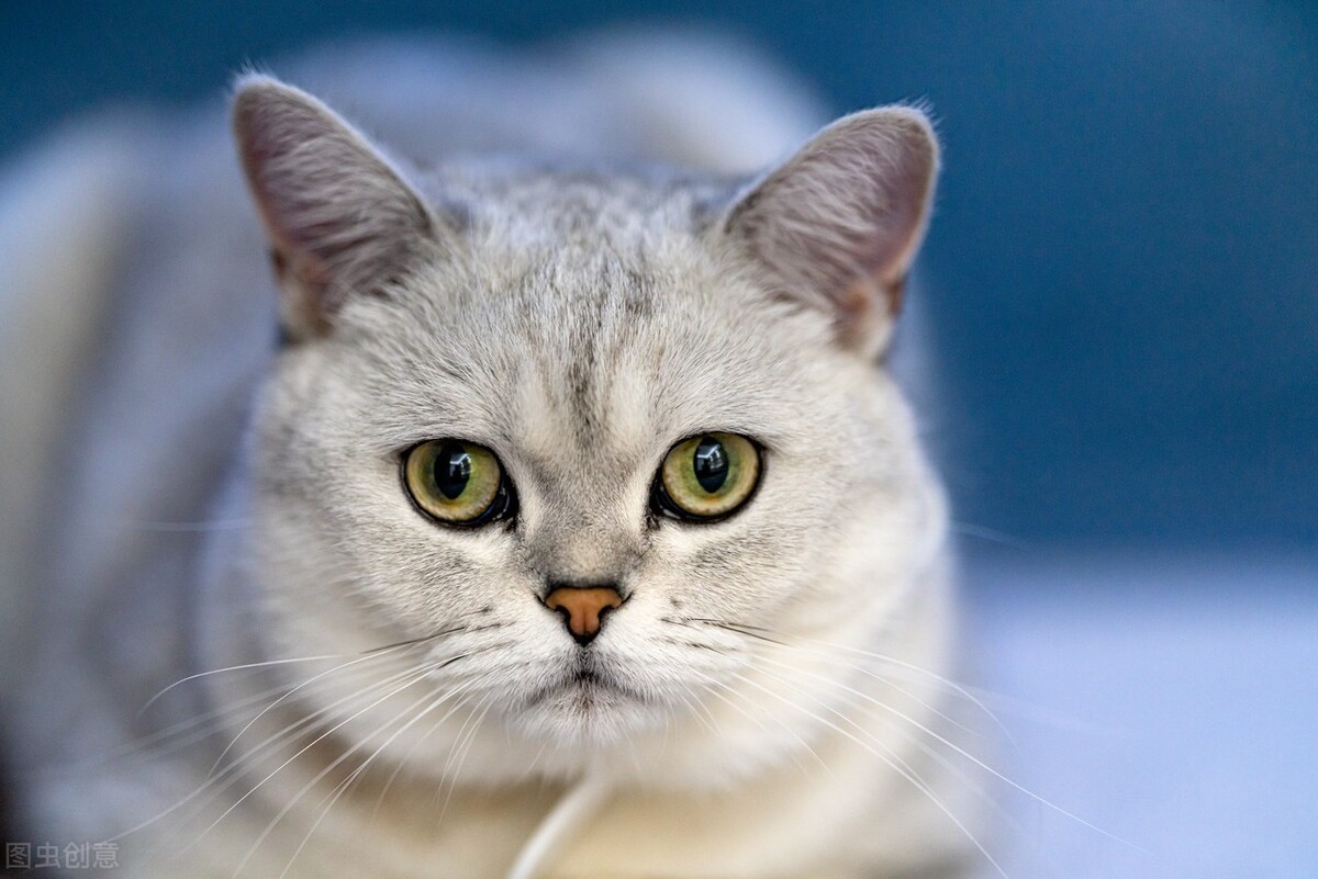 搞笑反转的文案发朋友圈,那些笑掉你下巴的沙雕神反转文案