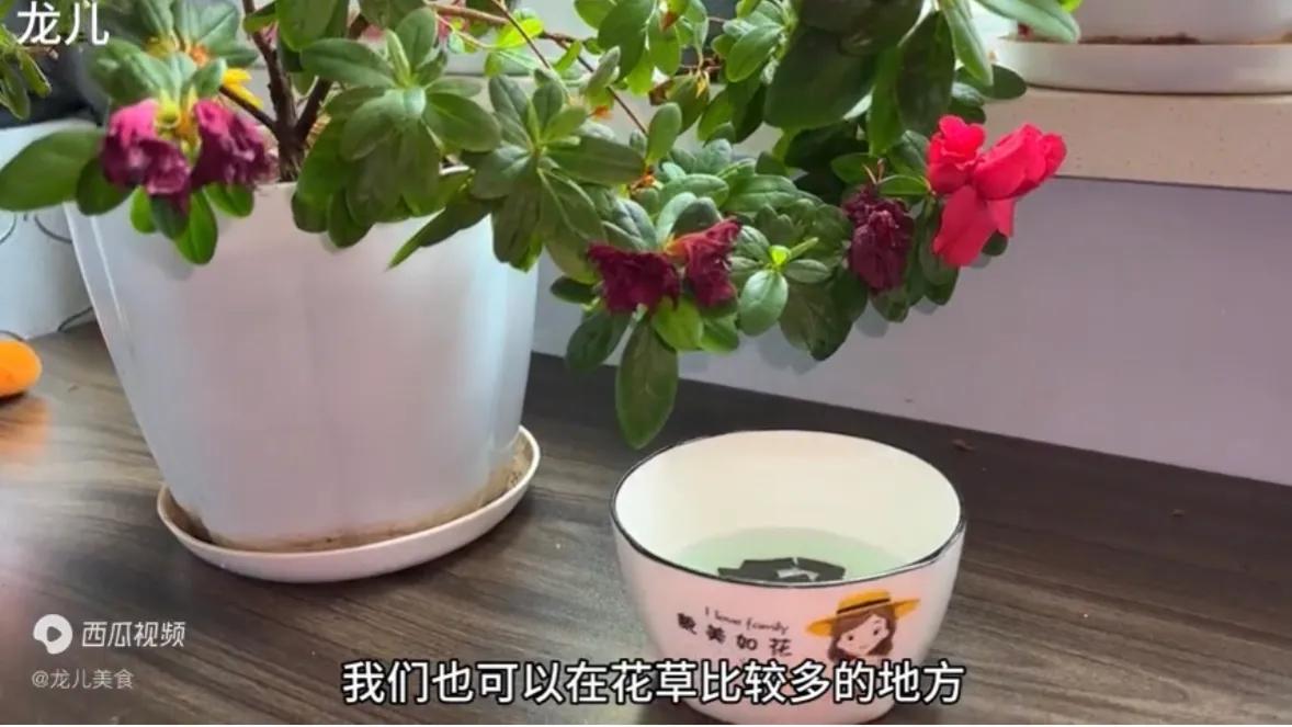 蚊香神奇功效,蚊香神器