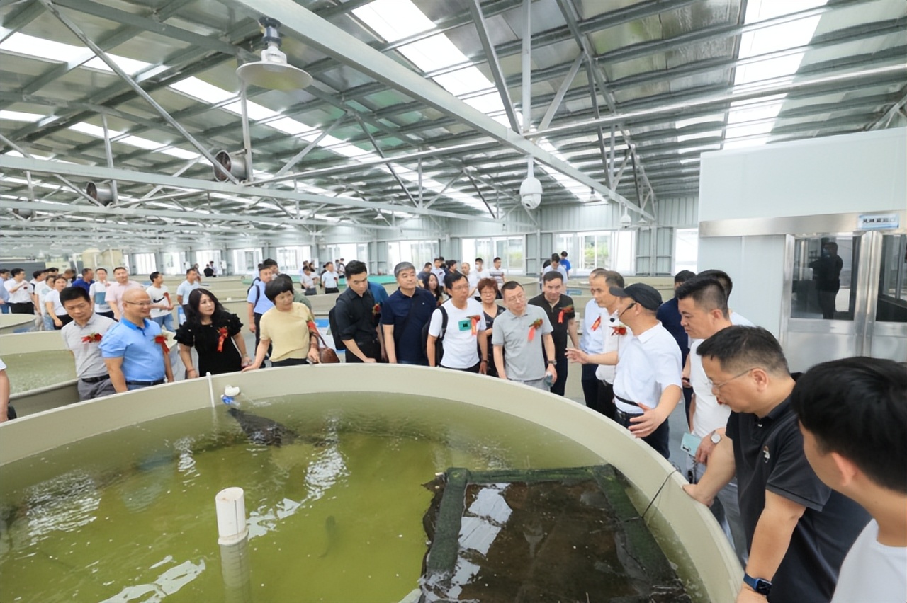 大动作发展活动方案,大动作发展活动的预期目标