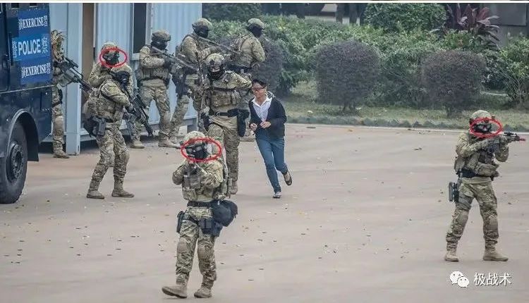 虎年说虎科普视频,虎年说虎运用了哪些说明方法