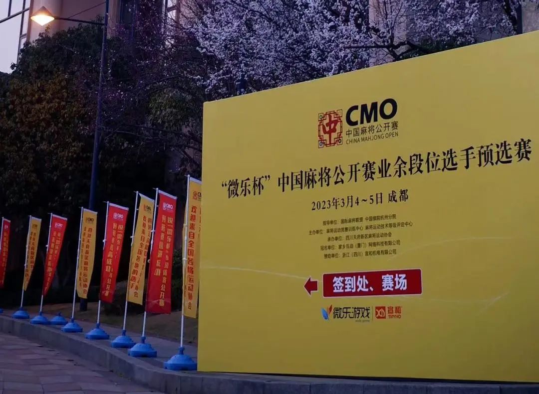 微乐杯麻将大赛晋级名单,微乐杯首届麻将公开赛杭州开幕式