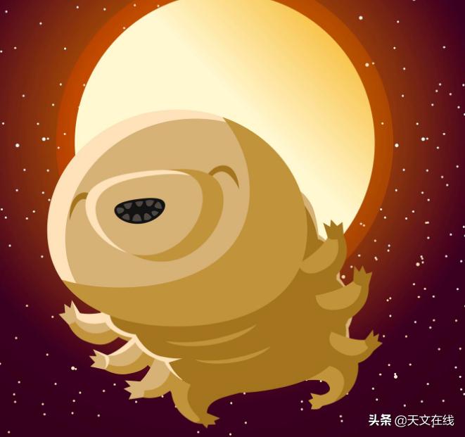 最有可能是外星生物的动物,什么物种是外星物种