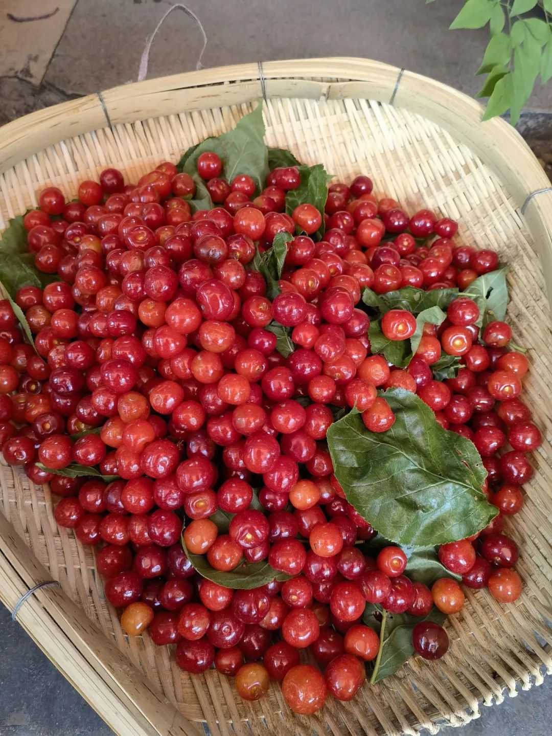 去西昌一定要吃的美食,去西昌推荐吃什么