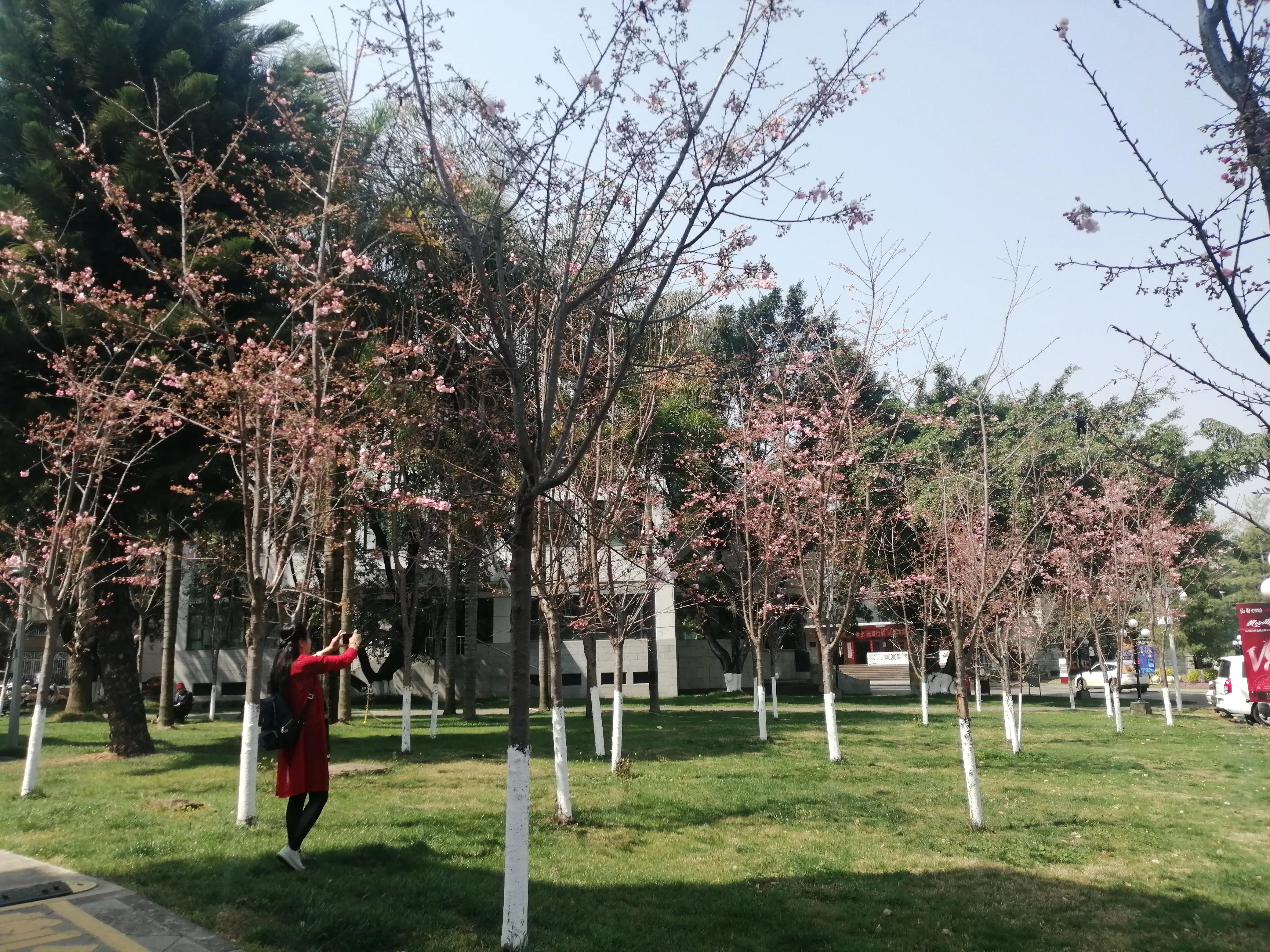 弥勒旅居包吃住三号院,弥勒旅居养老基地包月包吃住