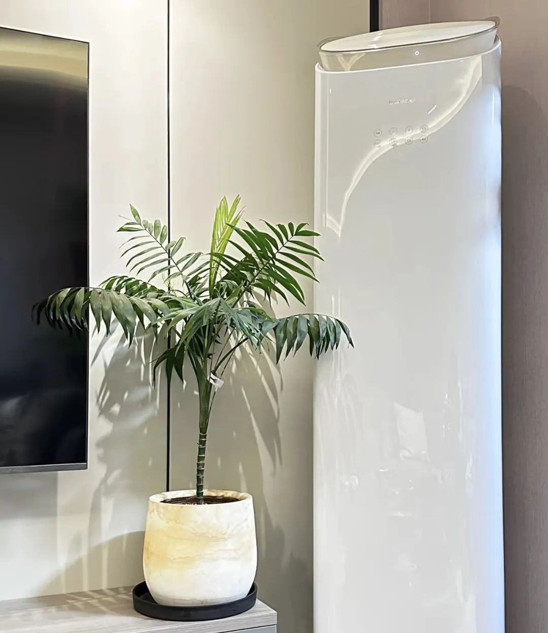 室内养什么好养又吸甲醛,室内养什么绿植吸收甲醛量最高