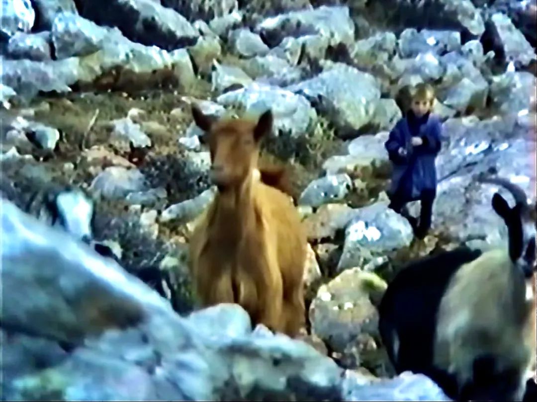 球迷爱C罗梅西，更多人爱莫德里奇