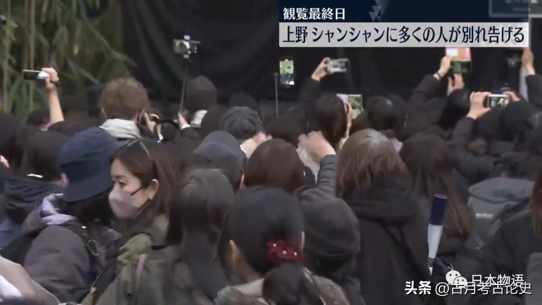 旅日大熊猫回国日本人反应,四只旅日大熊猫陆续归国