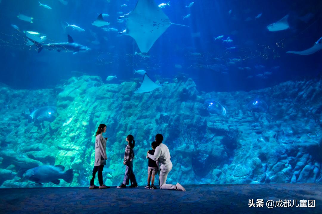 成都直通香港的高铁,成都高铁到达香港