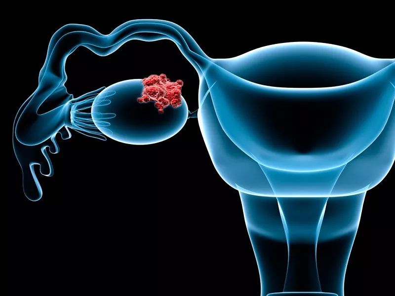 肿瘤领域的发展及看法,肿瘤临床试验有哪些平台