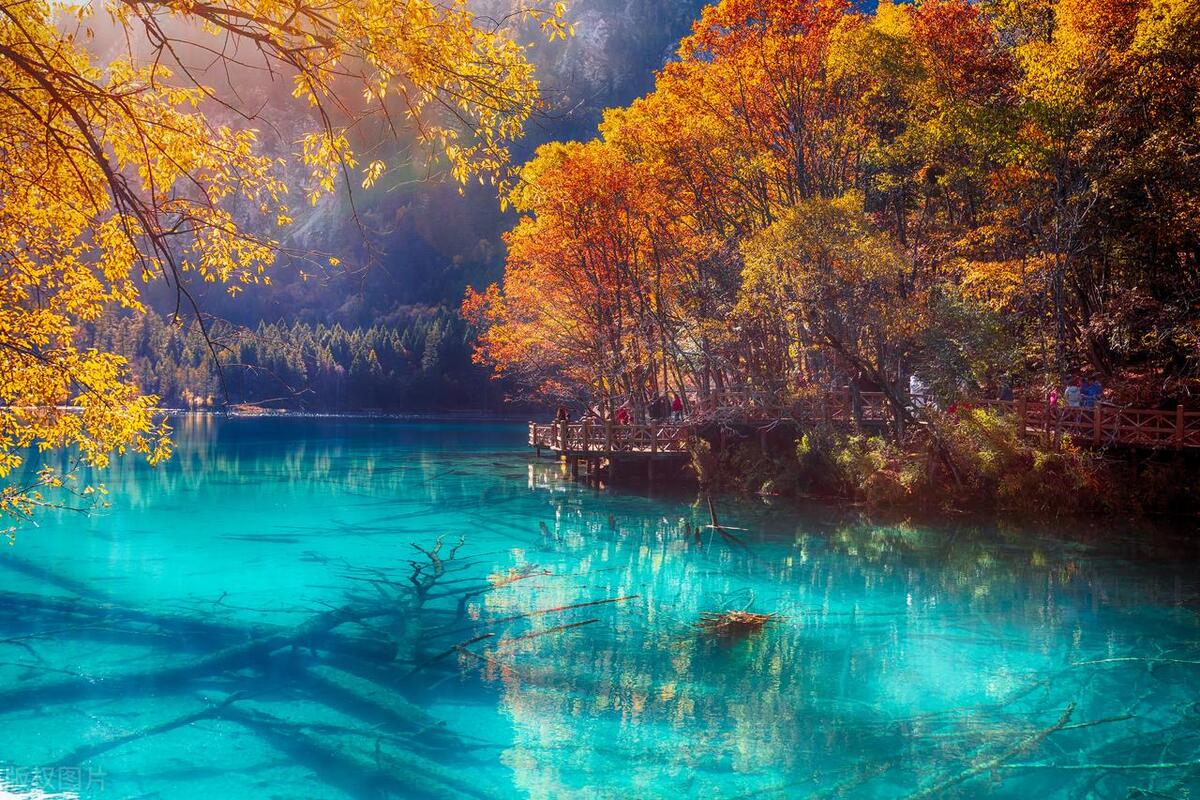 九寨沟五日游最佳方案旅游攻略图,九寨沟五日游详细攻略