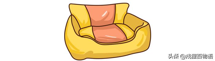 打雷下雨狗狗发抖,打雷狗狗害怕