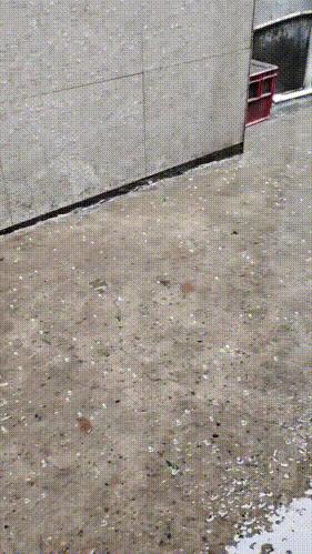 今天碰到个算命先生，不愧是大师，算的真准