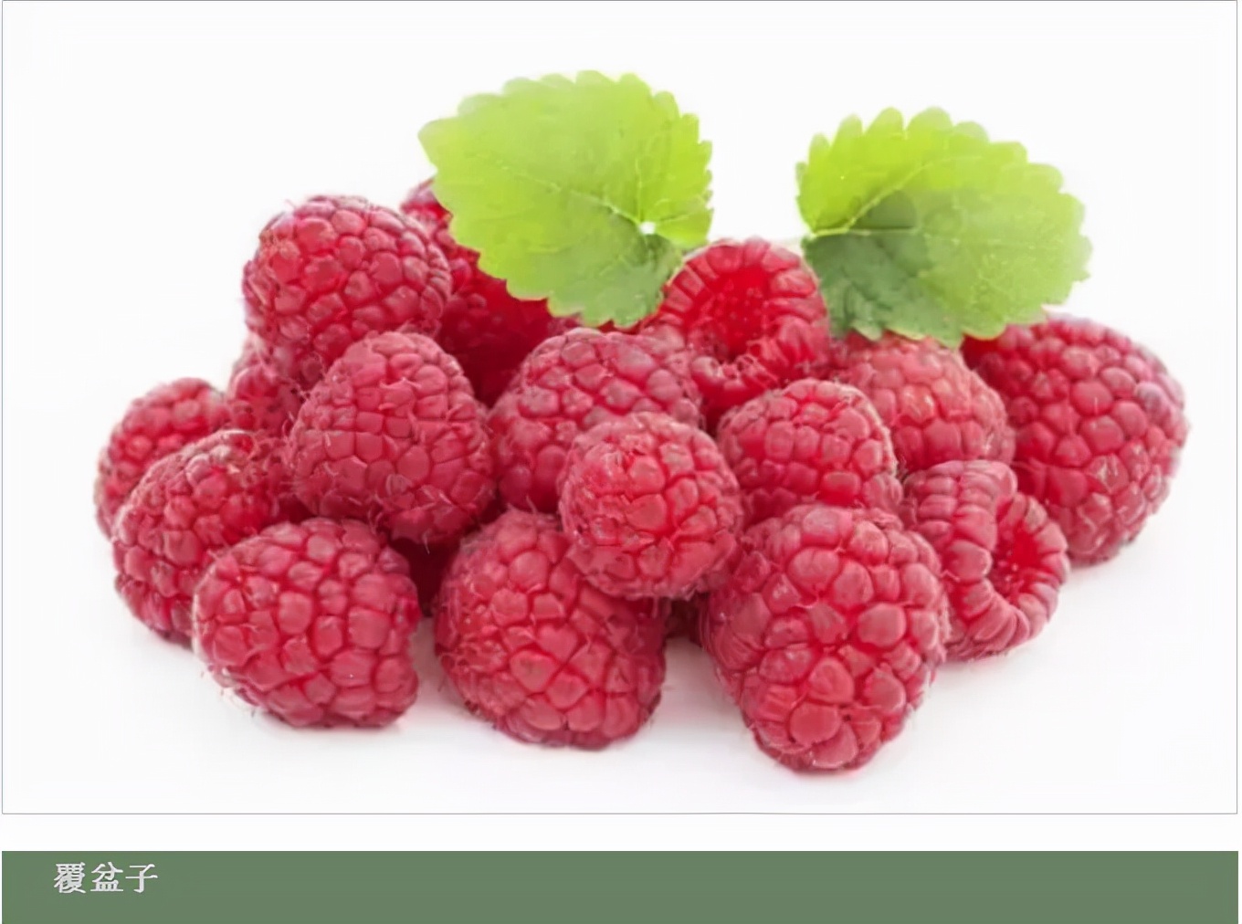 世界最好吃的水果十大排行,世界最营养又好吃的水果有哪些