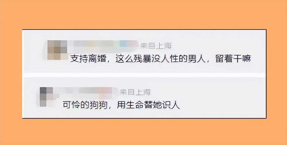 家暴男砍死柯基后续截图,家暴男砍死柯基后续