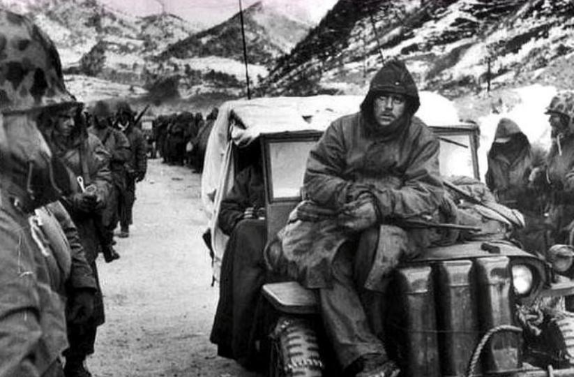 解放军113师简介,解放军113部队