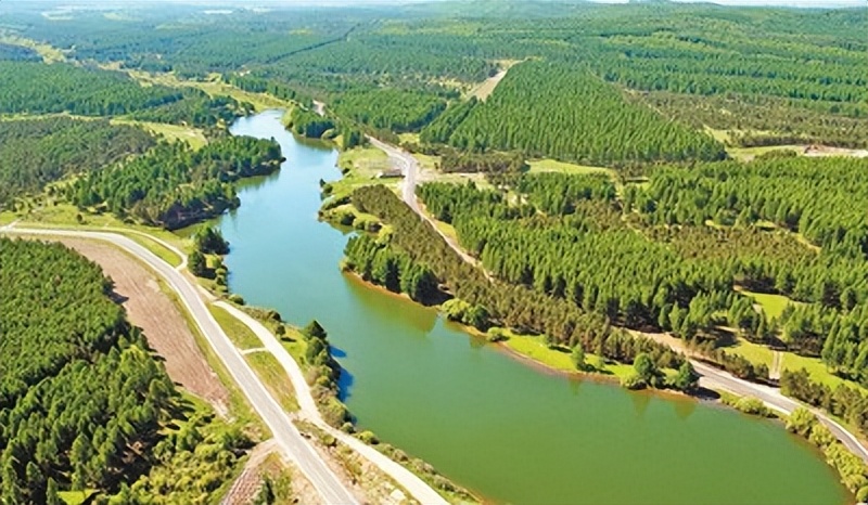 多元共治生态治理模式,多元共治的生态治理模式