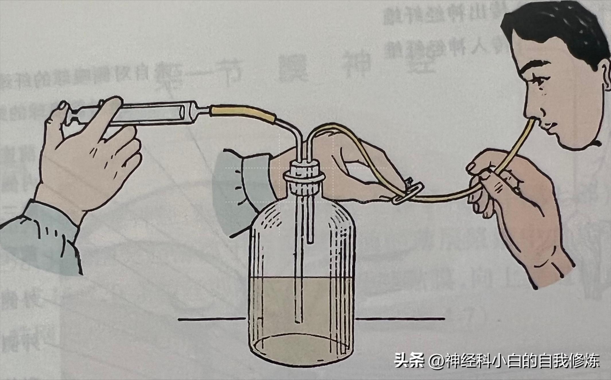 颅神经查体：I嗅神经