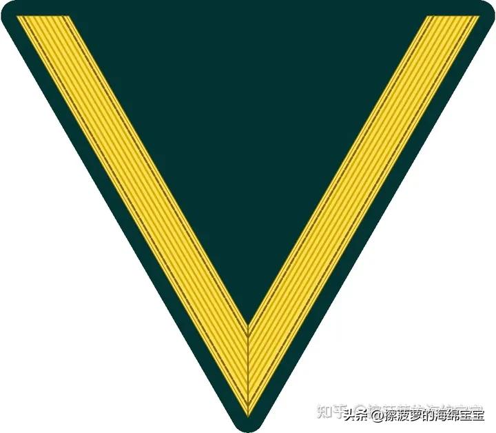 二战德国国防军医疗兵军衔标志