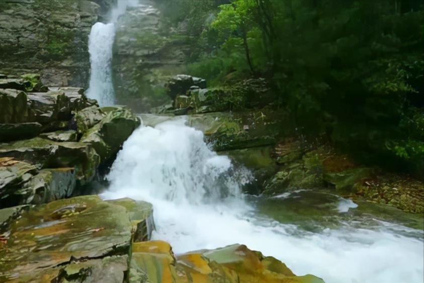 全屋净水器要选哪种功能,全屋净水设备有必要吗