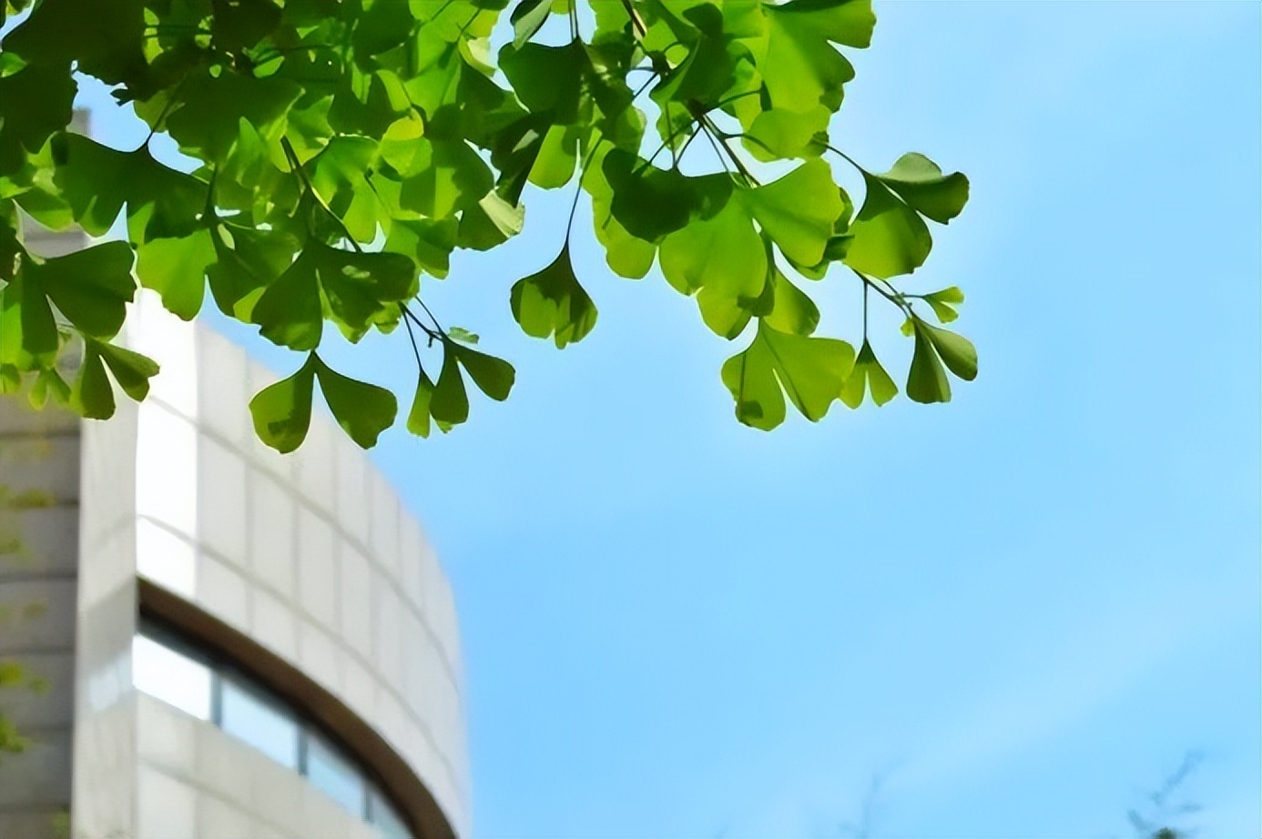 国际重量级大赛,全国顶尖选手齐聚