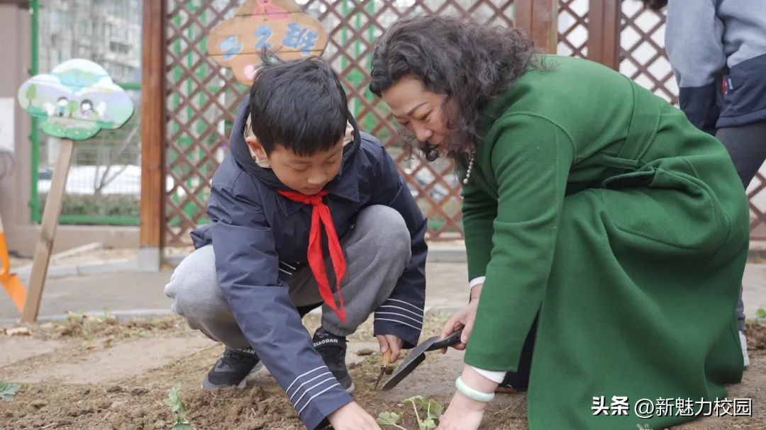 劳动创造幸福创意活动小学,劳动创造美好生活小学活动
