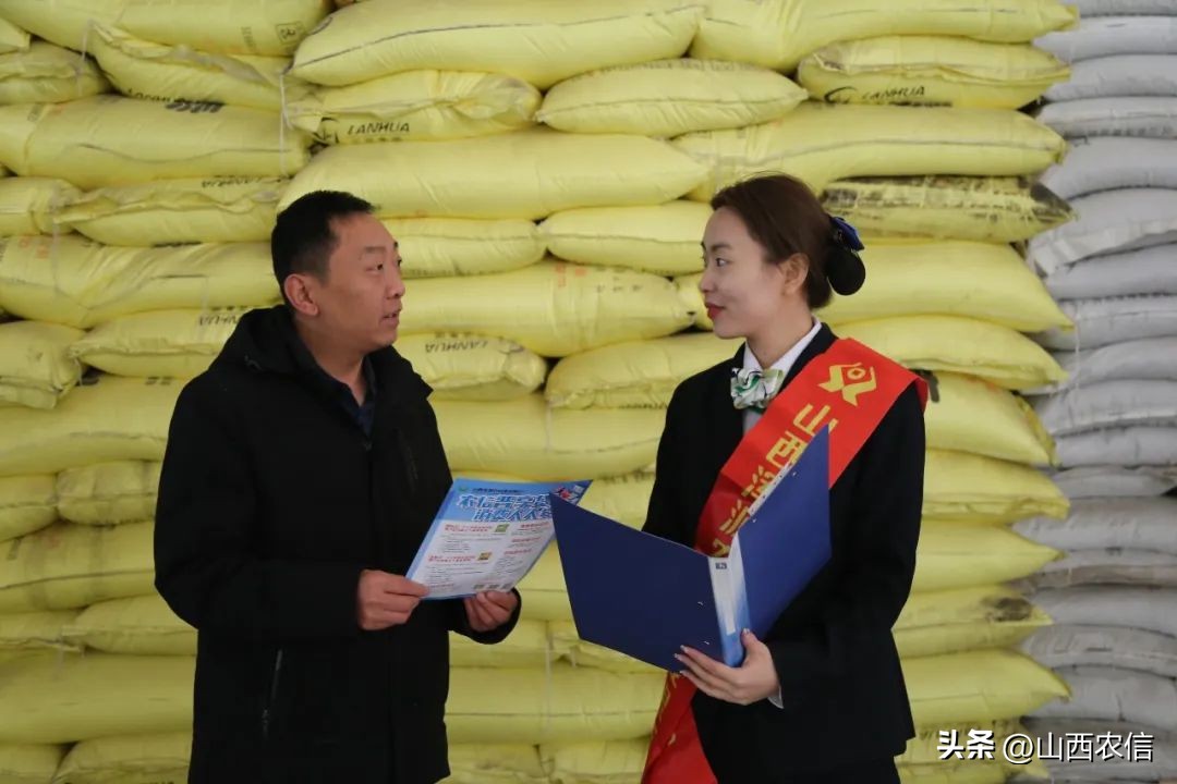 @农信“铿锵玫瑰”，快来看看你是什么字体~