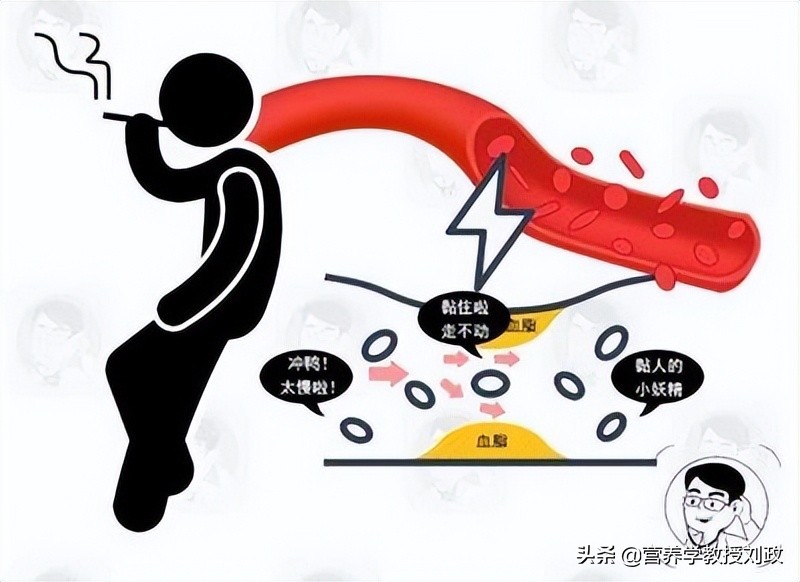 心血管病治愈率,心血管疾病的危害及预防措施