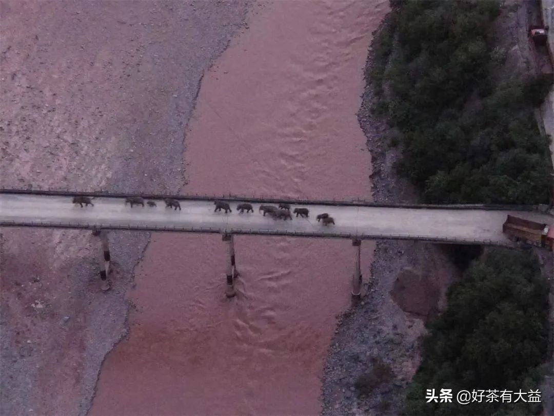 茶语春秋中国茶文化讲了什么,茶话春秋