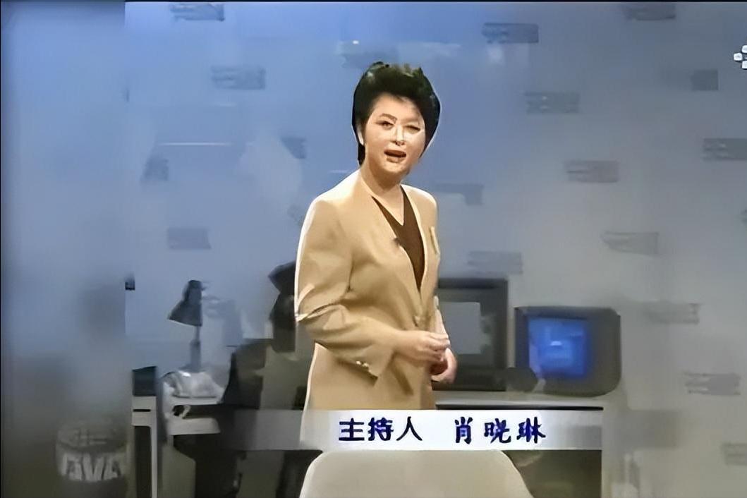 已经退休的12位央视著名主持人,已经退休的12位央视主持人