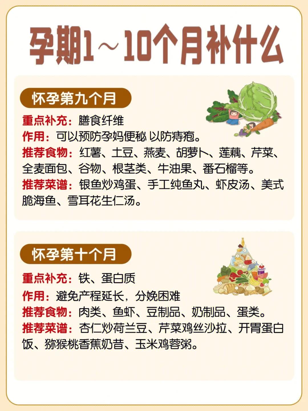 孕期1～10月补什么？哪些食物不能吃？准妈妈们看过来
