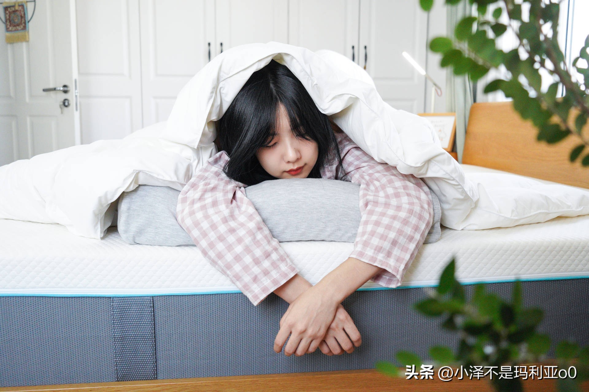 花1000多买被子,花1000买蚕丝被值不值