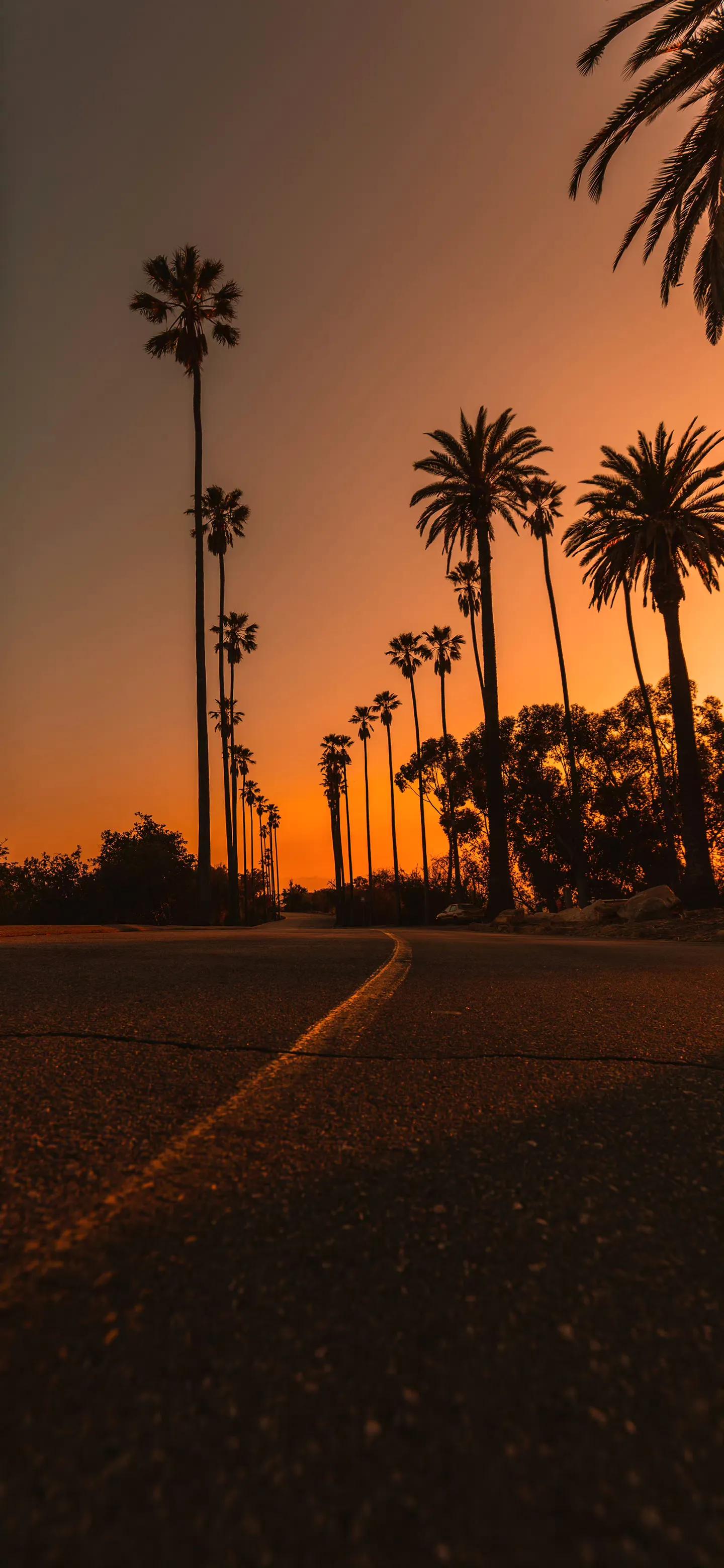 iphone壁纸视觉缩放开关,iphone壁纸认知地图